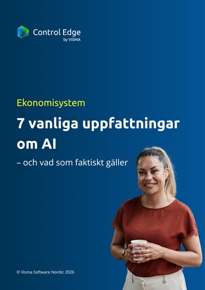 7 vanliga uppfattningar om AI i ekonomisystemet