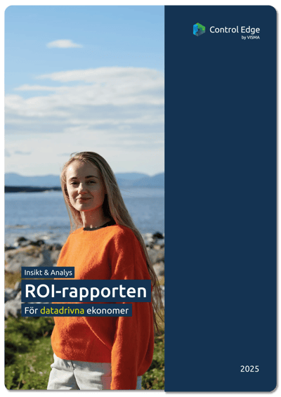 ROI-rapporten 2025 - omslagsbild